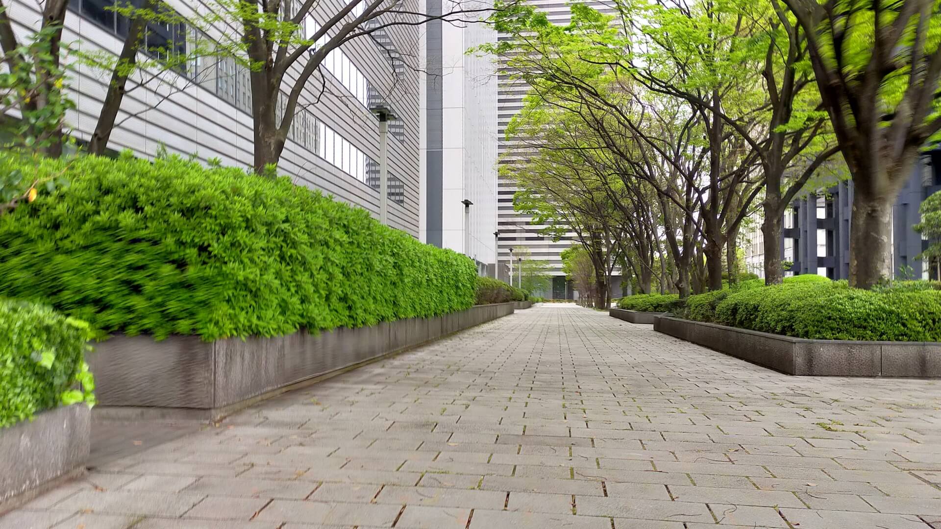 緑に囲まれたオフィス街